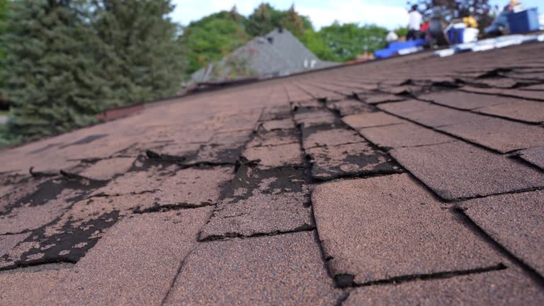 Best Chimney Flashing Repair  in Dunn, NC